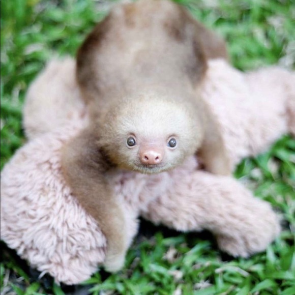 Meet your Posher, Alexis - Picture 1 of 1